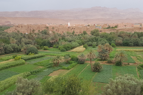 Depuis Agadir : excursion privée de 3 jours dans le SaharaDépart de Taghazout