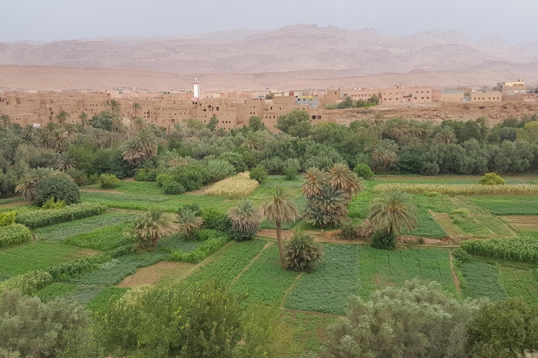 Ab Agadir: 3-tägige Sahara-Wüstentour nach MerzougaAbfahrt von Taghazout