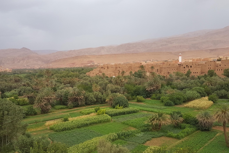 Ab Agadir: 3-tägige Sahara-Wüstentour nach MerzougaTour ab Agadir