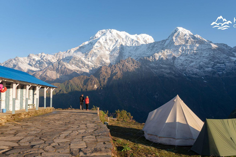 Mardi Himal Trek in 7 Days where Solitude Meets the Peak