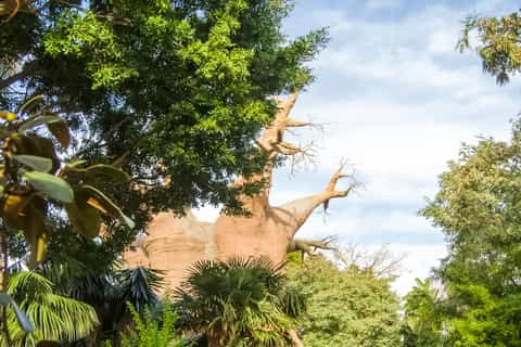 Bioparc Fuengirola General Admission Day Ticket