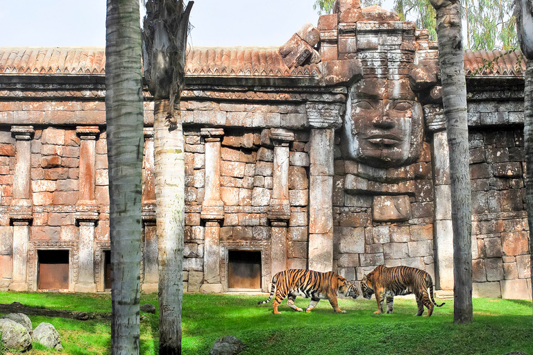 Fuengirola: Bioparc Entrance Ticket Bioparc Fuengirola General Admission Day Ticket