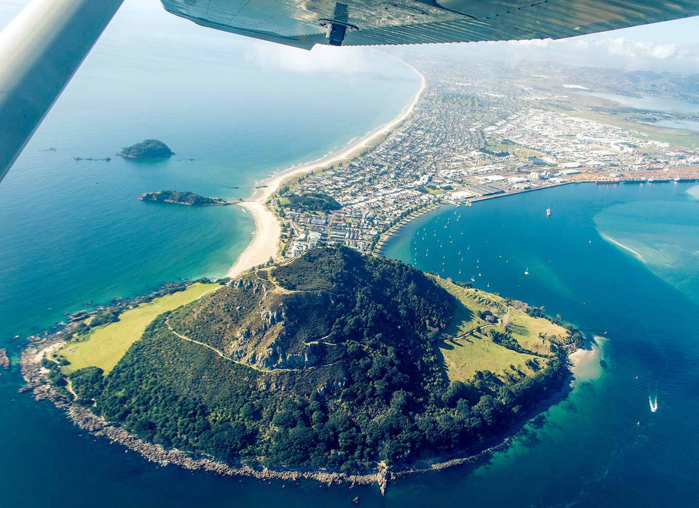 Fra Tauranga: Skydive over Mount Maunganui