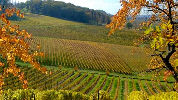 from sarlatlacanéda private 5hour wine tour