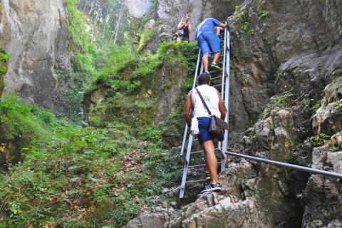 Brasov: Small-Group 7 Ladders Canyon dagtochtBrasov: privétrip met kleine groep 7 Ladders Canyon in het Engels