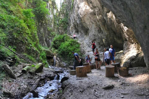Brasov: Kleingruppen-Tagesausflug zum 7-Leitern-CanyonBrasov: Kleingruppen-Tagesausflug zum 7-Leitern-Canyon in englischer Sprache
