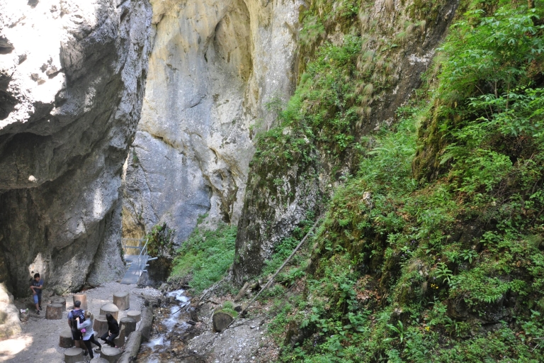 Brasov: excursion d'une journée en petit groupe à 7 niveauxBrasov: voyage privé en petit groupe à 7 échelles Canyon en anglais