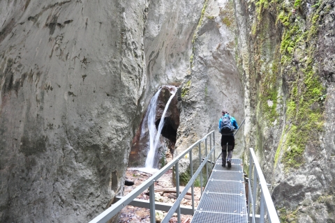 Brasov: Excursión de un día a un pequeño grupo de 7 Ladders CanyonBrasov: excursión de un día para grupos pequeños de 7 Escaleras al Cañón en inglés