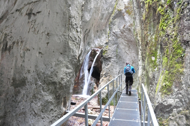 Brasov: Small-Group 7 Ladders Canyon dagtochtBrasov: Small-Group 7 Ladders Canyon Day Trip in het Engels