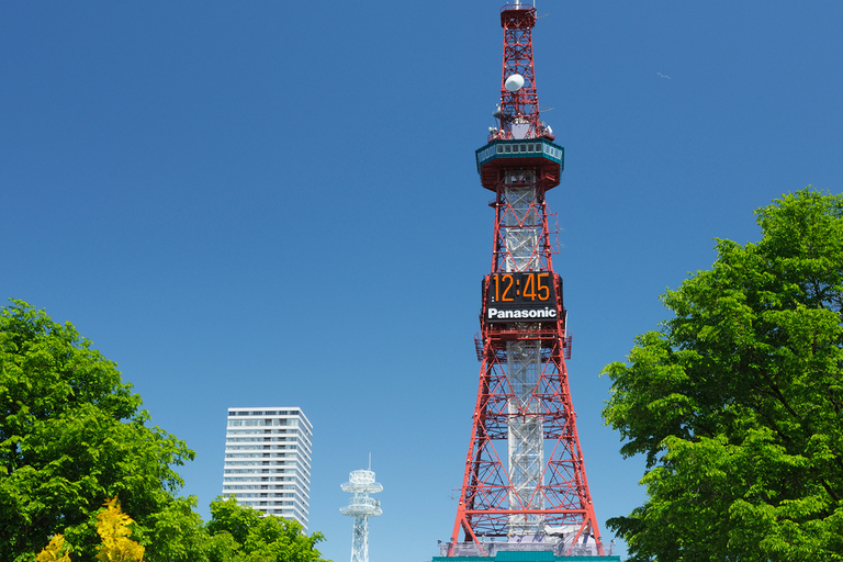 Sapporo TV Tower Admission Ticket