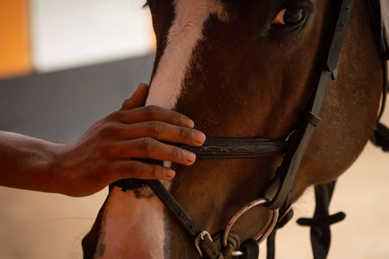 Best Horse Riding Safari Tour from Bangalore