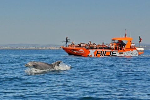 Albufeira: 2.5-Hour Dolphin Watching and Caves Cruise