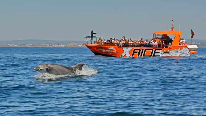 albufeira 2.5hour dolphin watching and caves cruise
