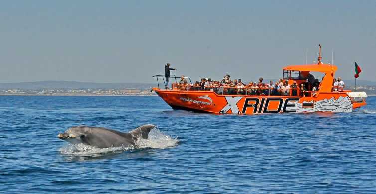 Albufeira 2.5 Hour Dolphin Watching and Benagil Cave GetYourGuide