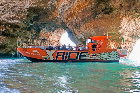 Ab Albufeira: Höhlen- und DelfinbeobachtungstourGruppentour im Standardboot - Fokus auf Höhlen der Algarve