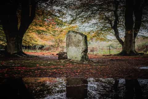 From Inverness: Glen Affric, Culloden and Clava Cairns Tour