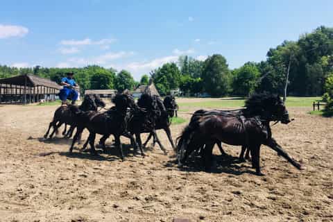 Budapest: Puszta Countryside Tour with Horse Show and Lunch