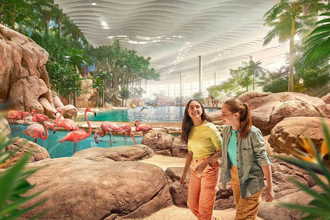Abu Dhabi: SeaWorld Entry Ticket with Private SUV Transfer Abu Dhabi: SeaWorld Entry Ticket with KIA Carnival Transfer