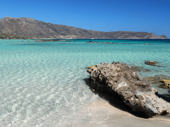Depuis Héraklion : Une escapade à la plage de sable rose d'Elafonisi
