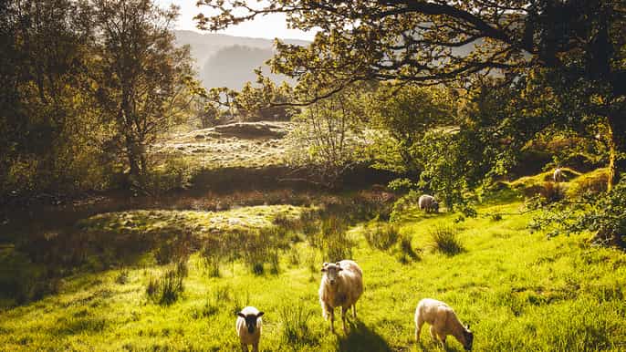 da manchester lake district windermere e lancaster