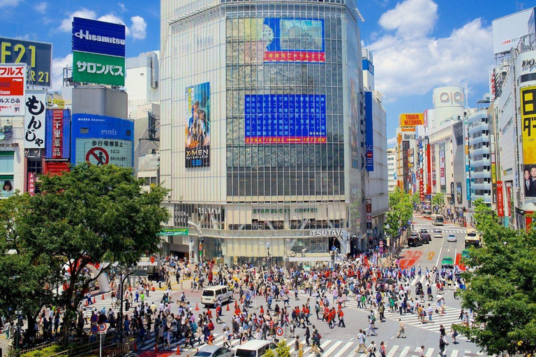Tokyo: Private Luxury Day Tour with Hotel Pickup and DropOff