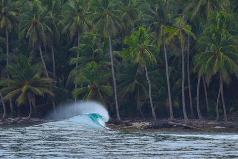 Praia de Jaco: Surf na Costa Rica - Todos os níveis e idades