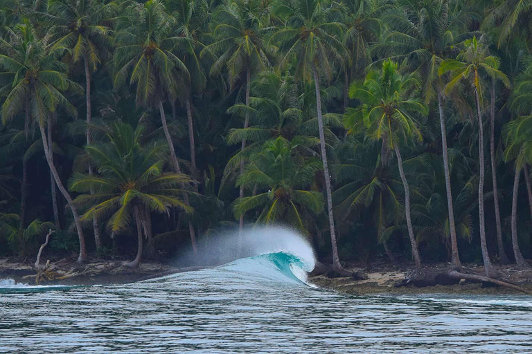 Stranden i Jaco Surfing i Costa Rica - Alla nivåer och åldrar