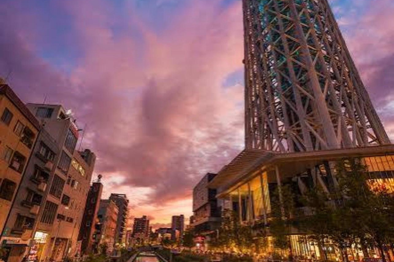 Tokyo: Private City Tour with Tokyo TeamLab Planets.