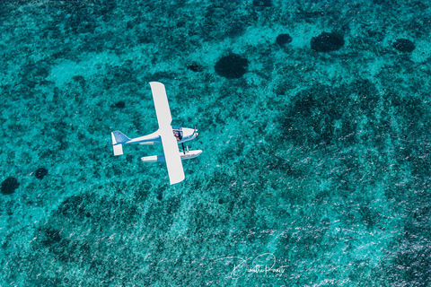 Excursión privada en hidroavión con vistas panorámicas de MauricioVuelo panorámico en hidroavión sobre la isla de Ámbar