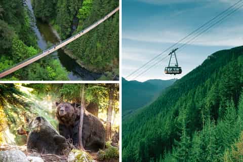 North Shore Capilano Suspension Bridge & Grouse Mountain