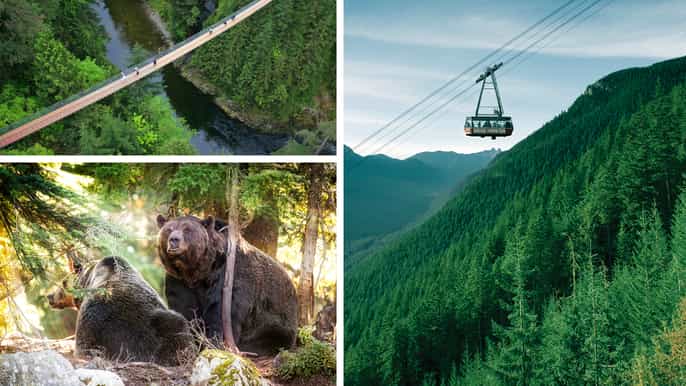 north shore capilano suspension bridge grouse mountain