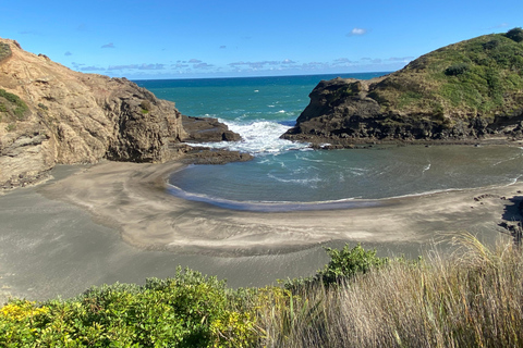 Piha &amp; Karekare - Out of Auckland Private TourPrivate Tour mit Führung auf Deutsch