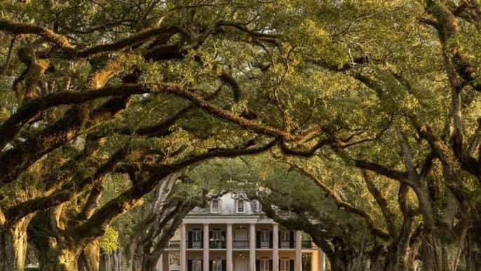 new orleans plantation visit and pontoon swamp tour