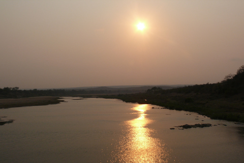 Desde las cataratas Victoria: Zambezi National Park Game DriveCataratas Victoria: Unidad de juego del Parque Nacional Zambezi - Mañana