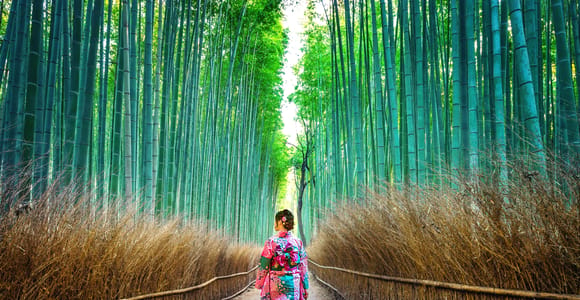 Kyoto: Family-Friendly Private Tour with Driver-Guide