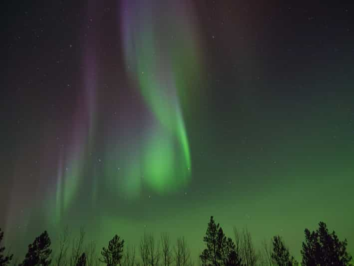 Whitehorse: Nighttime Northern Lights Viewing | GetYourGuide