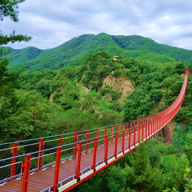Südkorea: DMZ, 3. Tunnel und optionale Hängebrückentour