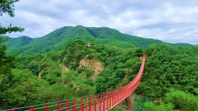 Seúl: DMZ, 3er Túnel y Excursión Opcional al Puente Colgante