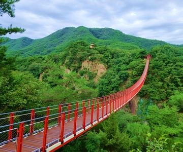 Seul: DMZ, 3º túnel e passeio opcional pela ponte suspensa