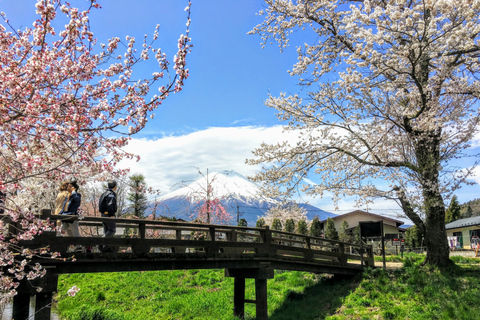 Tokyo: Mt Fuji, Lake Cruise and Noodles Making Experience Spectacular Fuji: Nature & Local Flavors