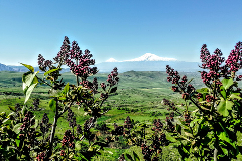 Yerevan: 2 nights in Armenia Experience