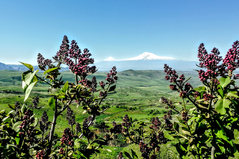 Yerevan: 2 nights in Armenia Experience