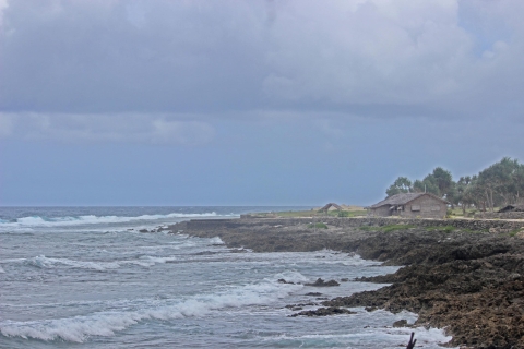 Port Vila: Pepeyo, Blaue Lagune & Eden Tour