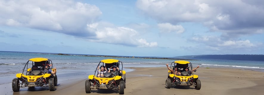 Vanuatu: Blue Lagoon, Turtle Sanctuary, and Buggy Adventure