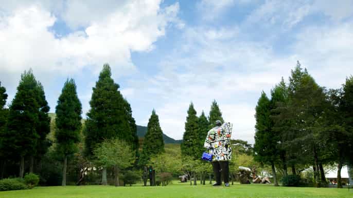 hakone openair museum ticket