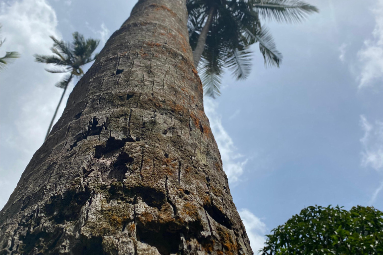 Sansibar : Gewürzfarm &amp; Rundgang in Stone Town