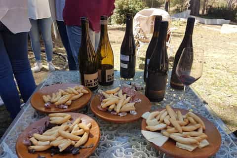 Da Valencia: tour del vino Utiel-Requena e pranzo tradizionale