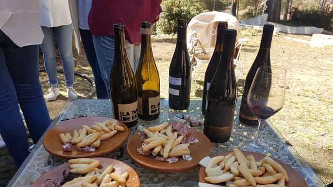 van valencia utielrequena wijntour en traditionele lunch