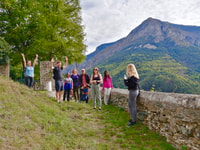 Desde Niza, experiencia en tren a través de los Alpes y la ruta barroca - Hizvo