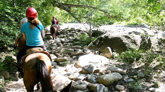 puerto vallarta horseback riding tour with atv and zip line